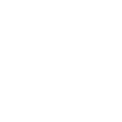 Customer Satisfaction