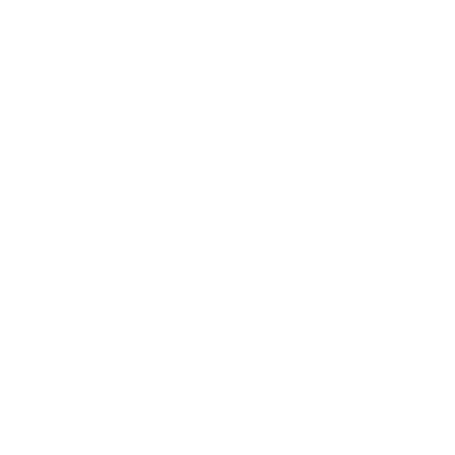 Mission Icon