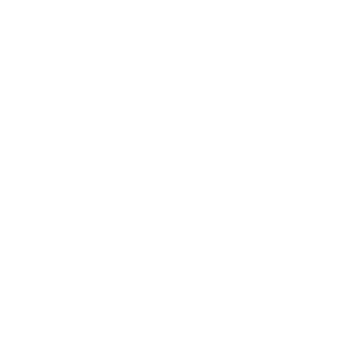 Purpose Icon
