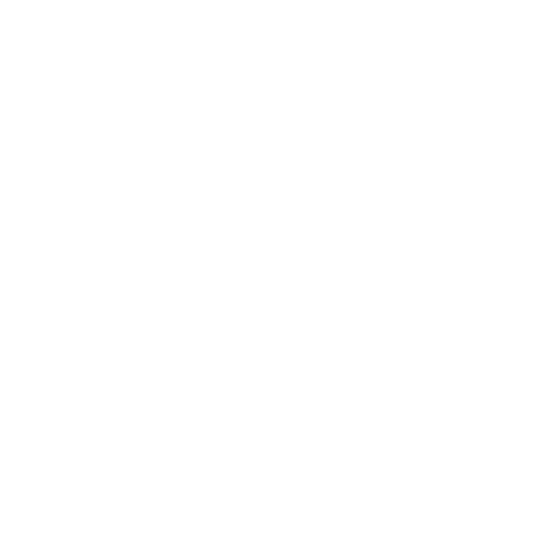 Vision Icon